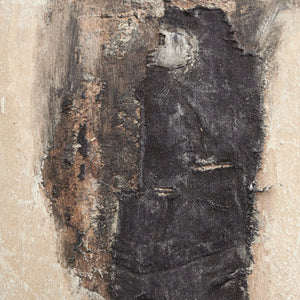 Burro Dia By Paul Meyer (Copy)