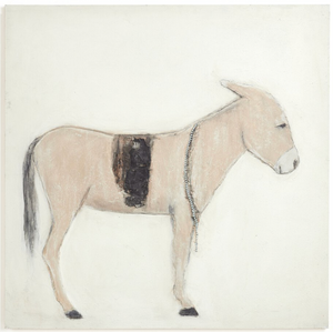 Burro Dia By Paul Meyer