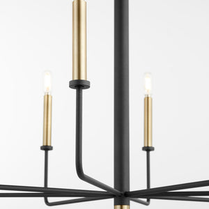 Apollo Chandelier