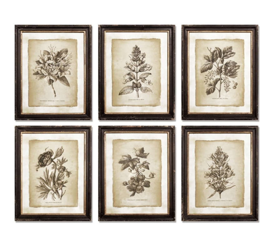 Framed Vintage Floral Prints