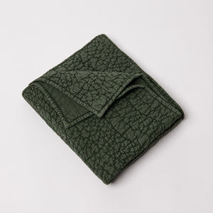 Slade Quilt- Kale