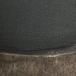 Burro Dia By Paul Meyer (Copy)