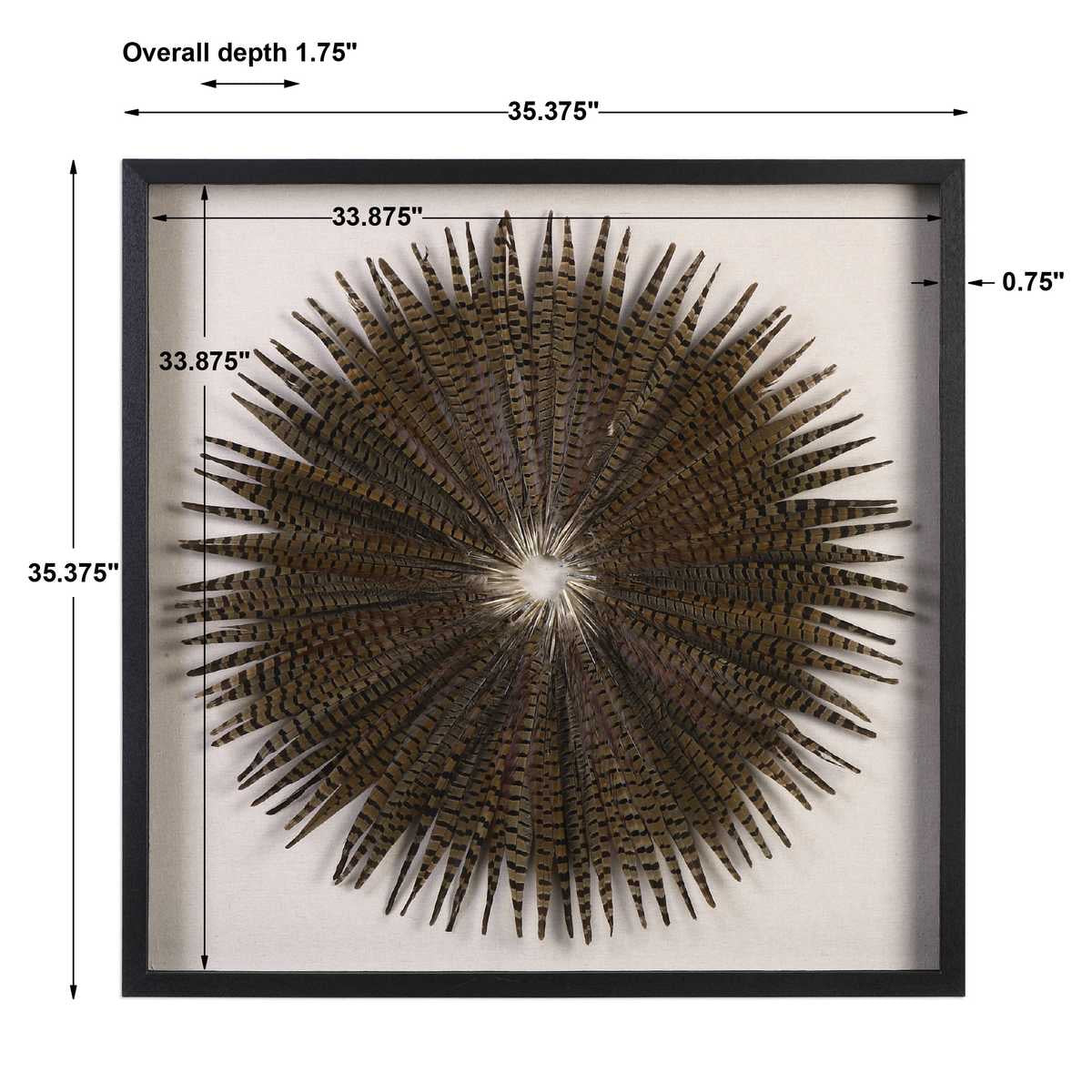 Feather Burst Shadow Box