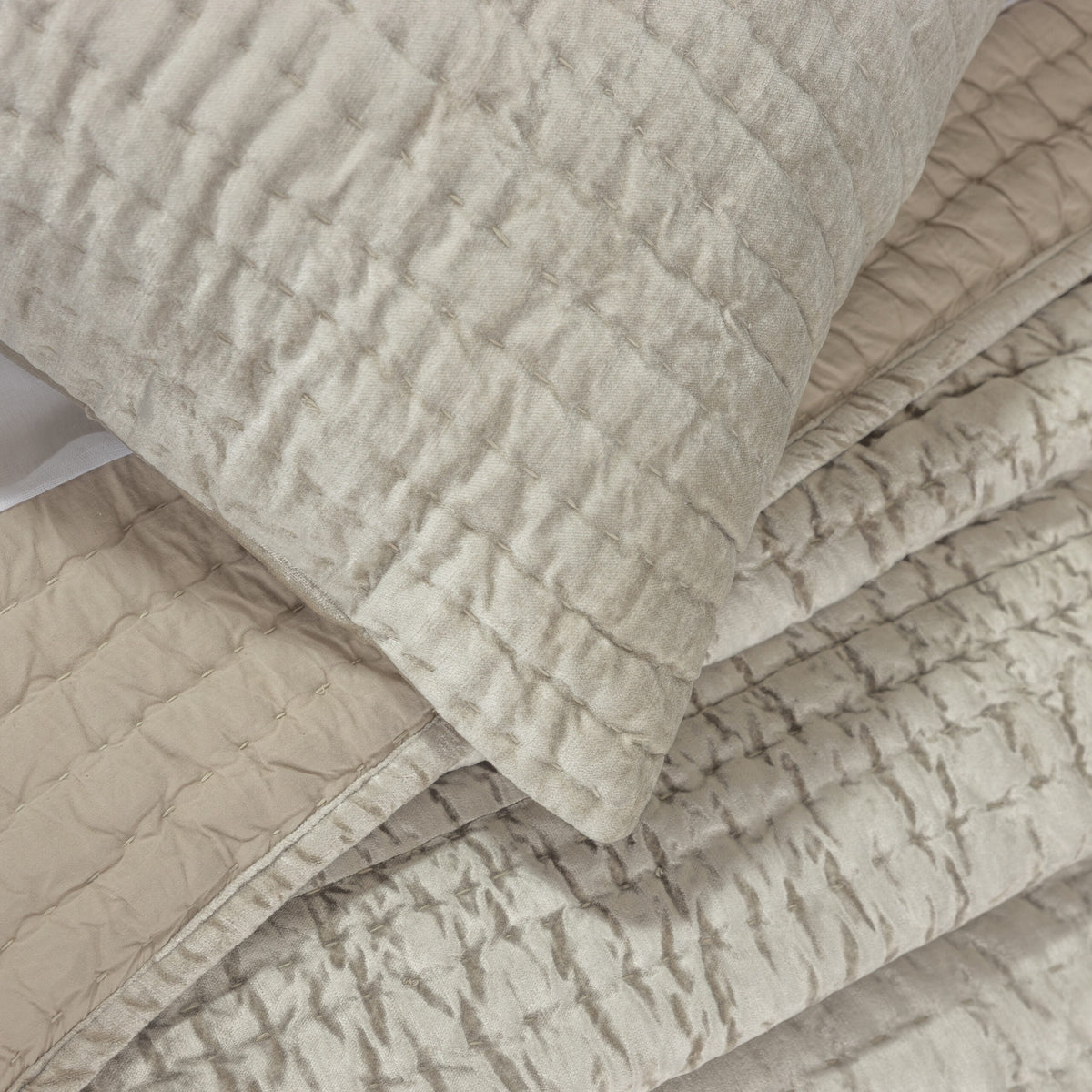 Baldwin Quilt, Oyster