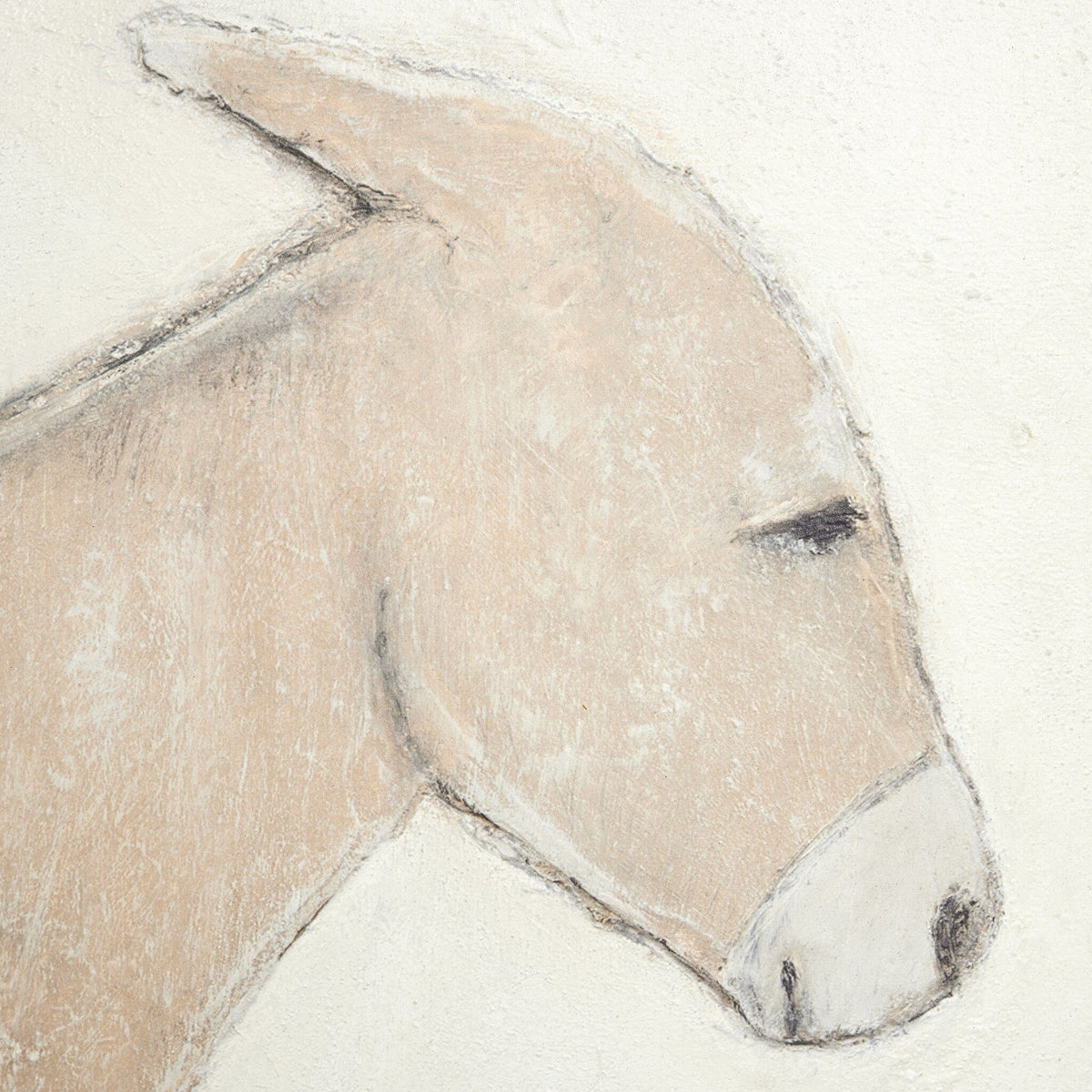 Burro Dia By Paul Meyer