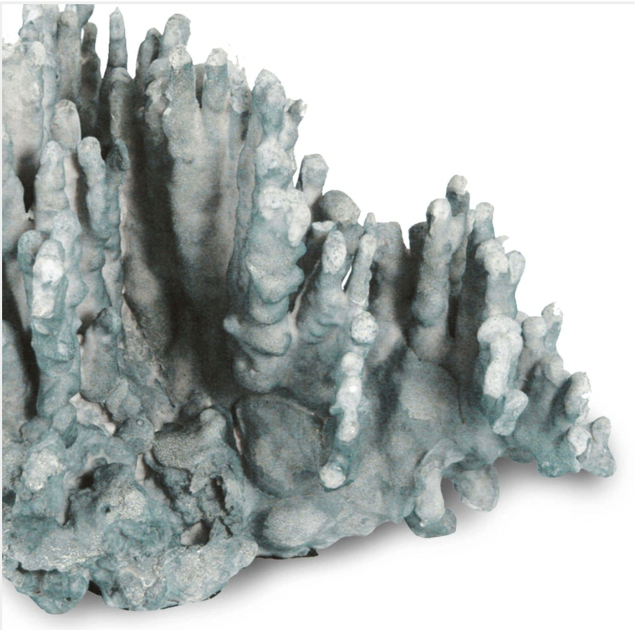 Blue Coral Art Piece
