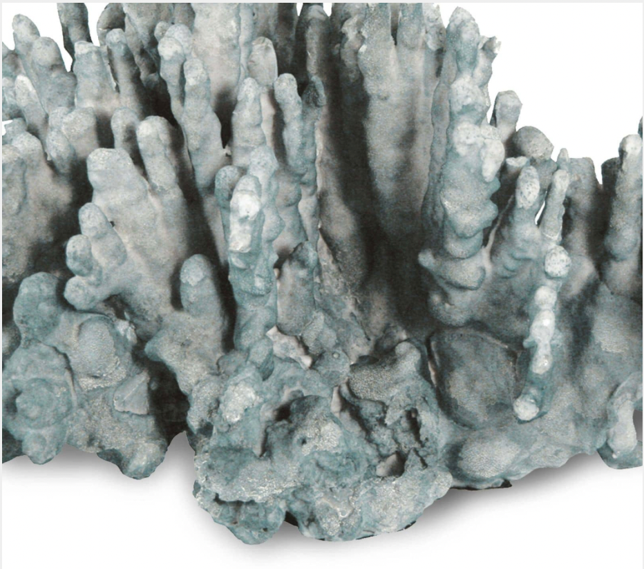 Blue Coral Art Piece