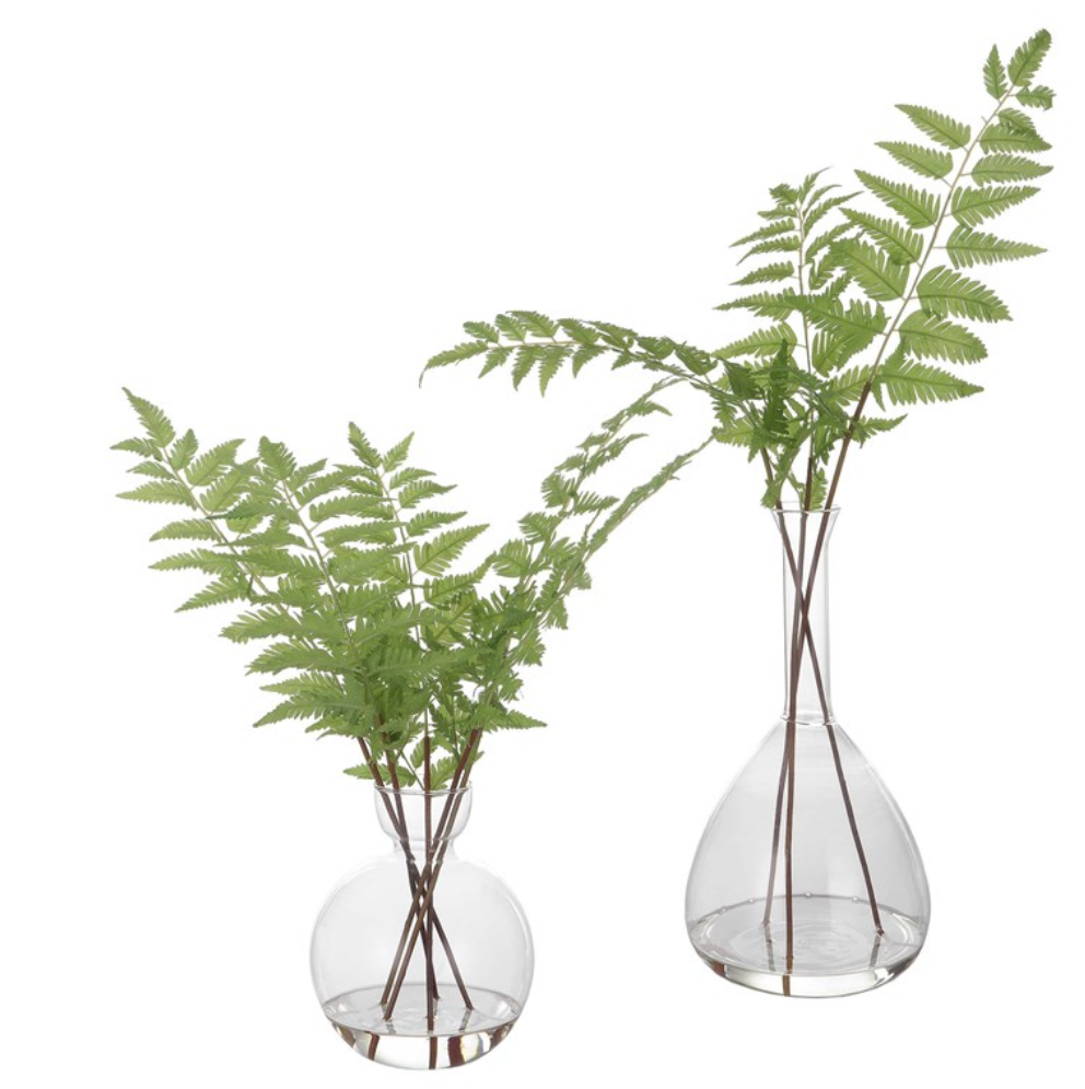Country Ferns, S/2