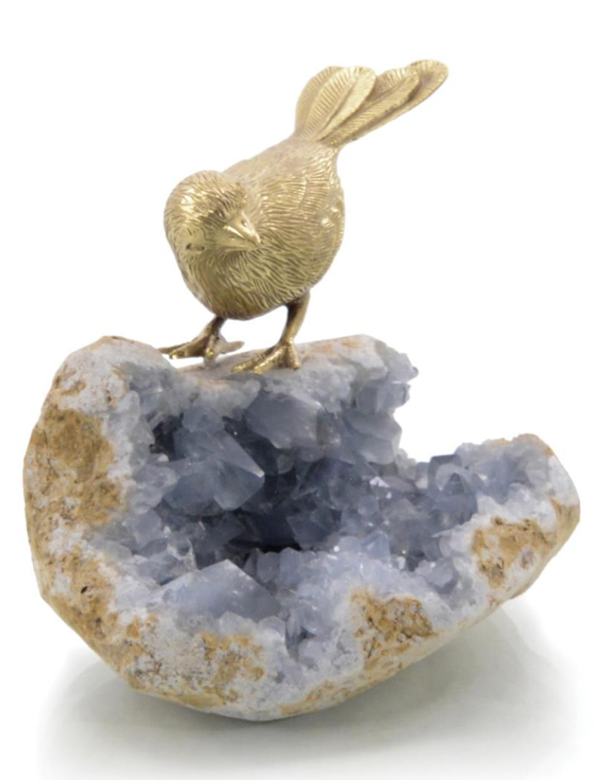 Bird on Celestite Rock II