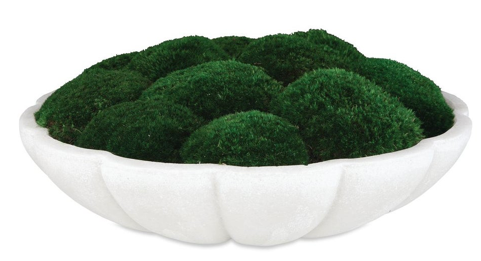 Awaken Moss Centerpiece