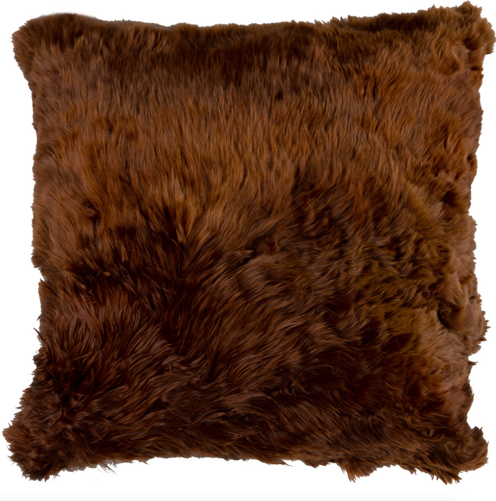 Alpaca Copper