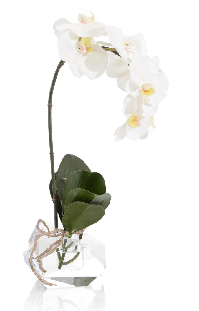 Real Touch Orchid