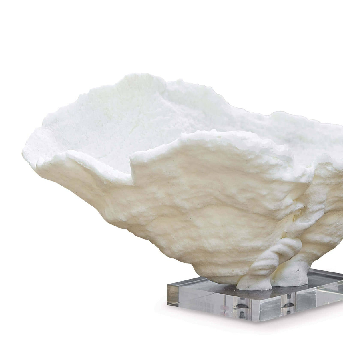 Coral Reef Large Bowl