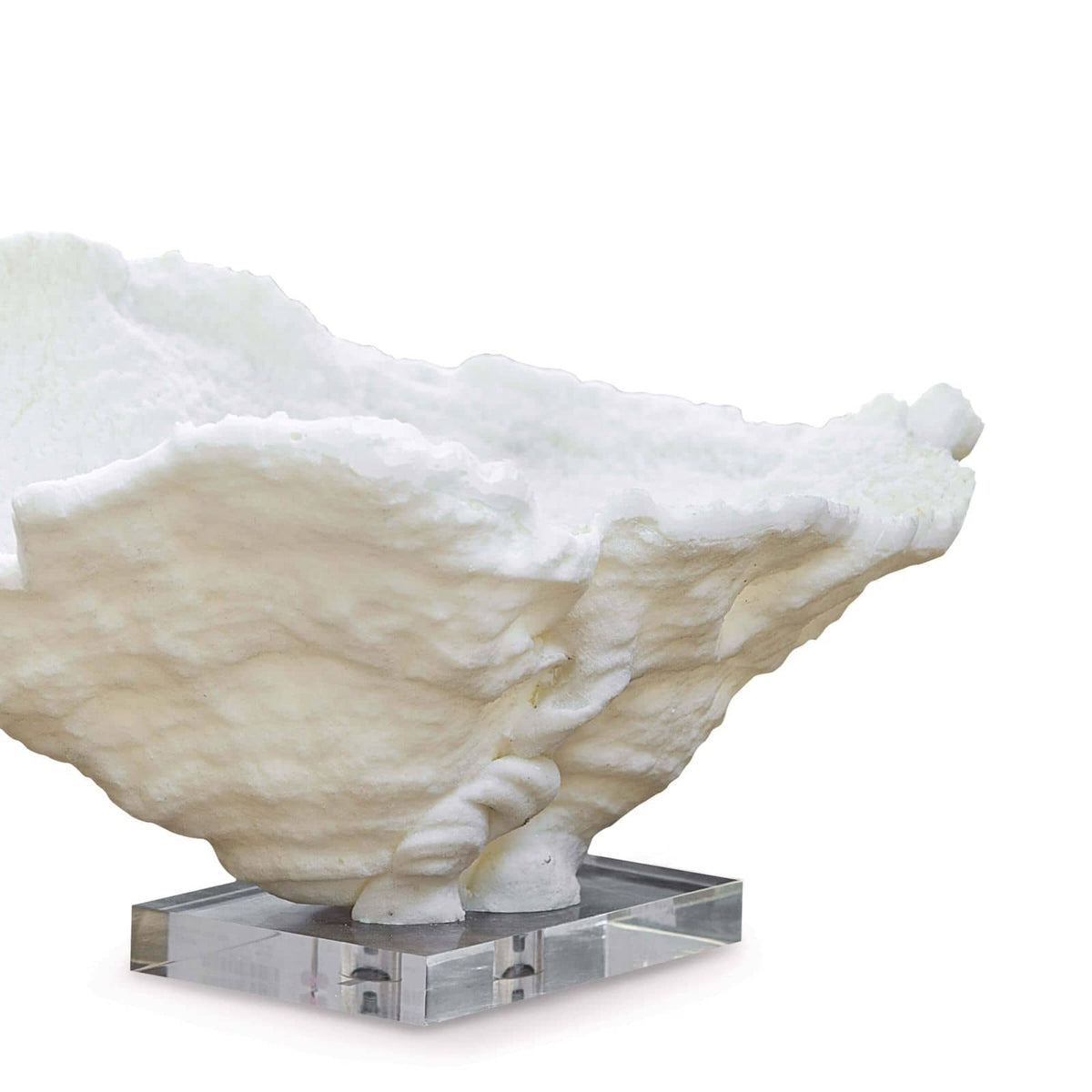 Coral Reef Large Bowl