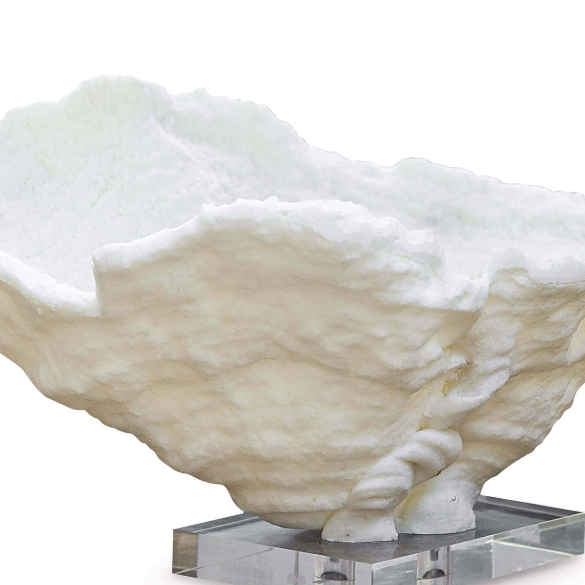 Coral Reef Large Bowl