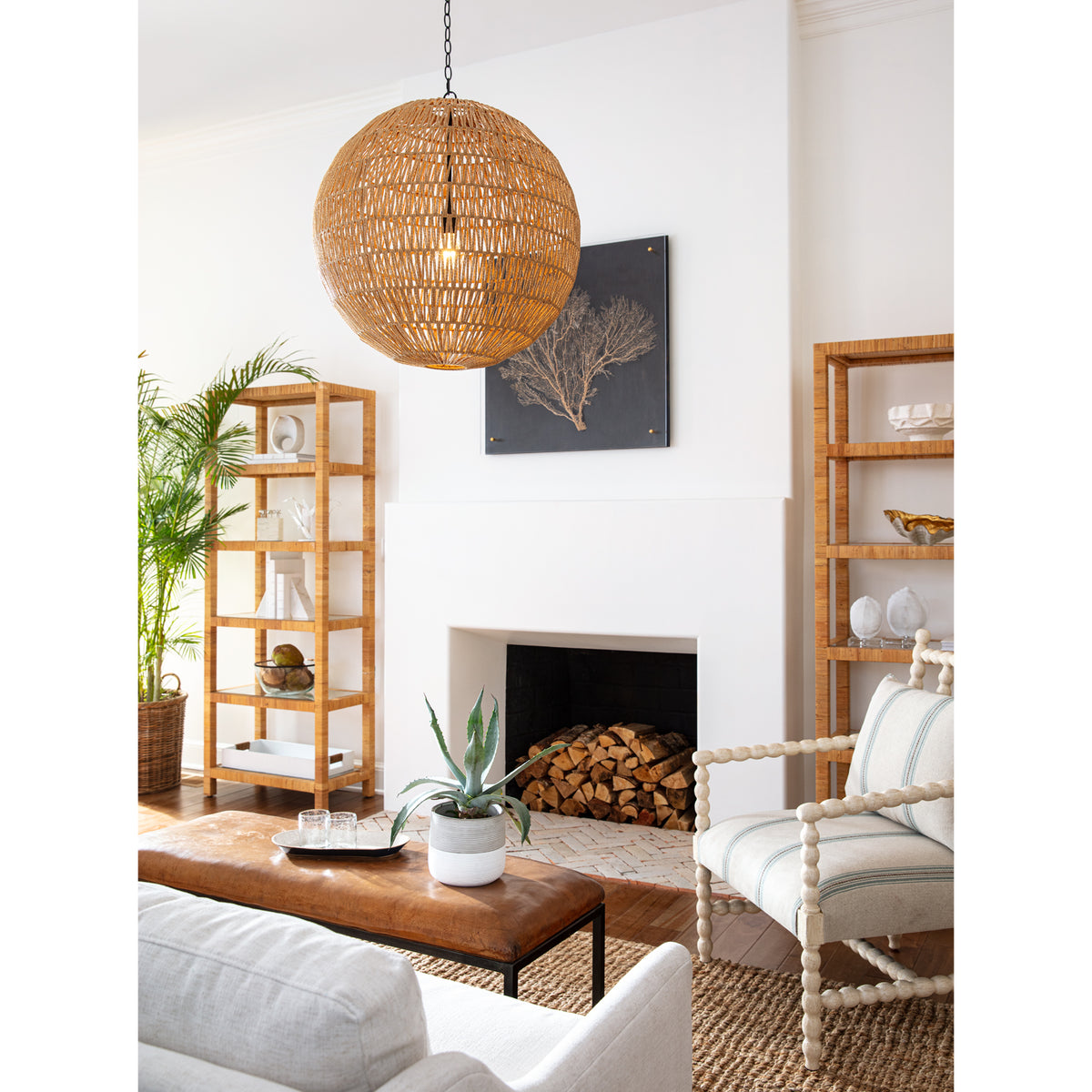 Turtle Shells On Crystal