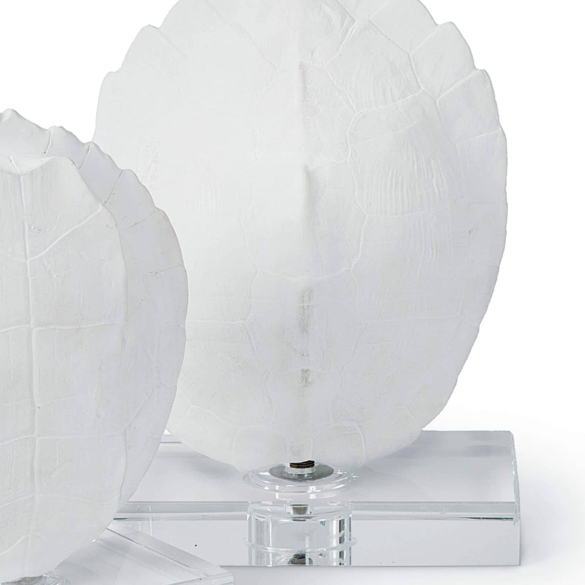 Turtle Shells On Crystal