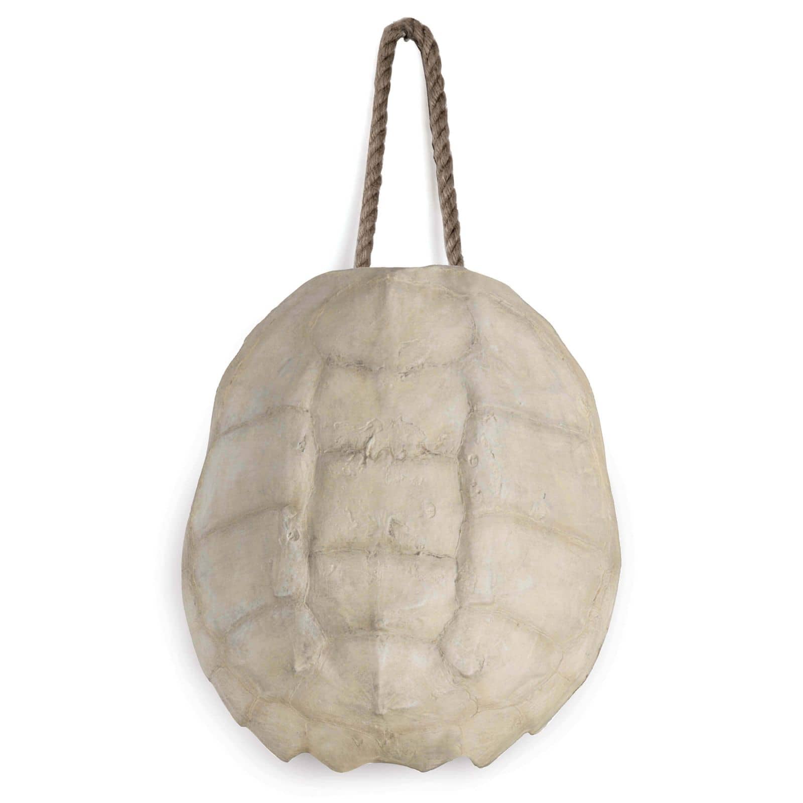 Turtle Shell Accessories