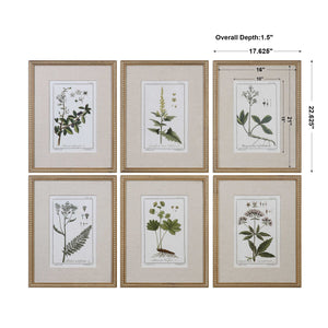 Green Floral Botanical Study Framed Prints