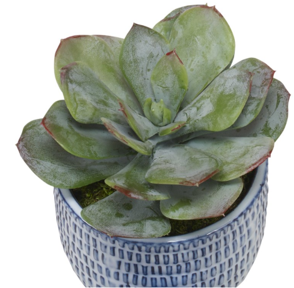 Puebla Greenery Set of 3