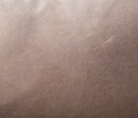 Velvet Lumbar Pillow