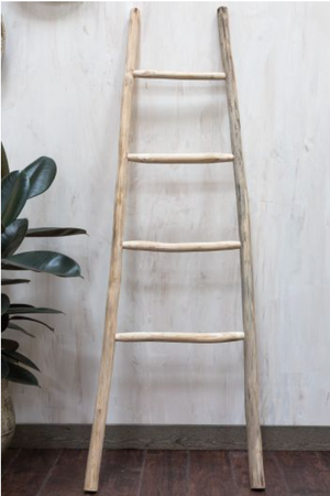 Kanu Ladder