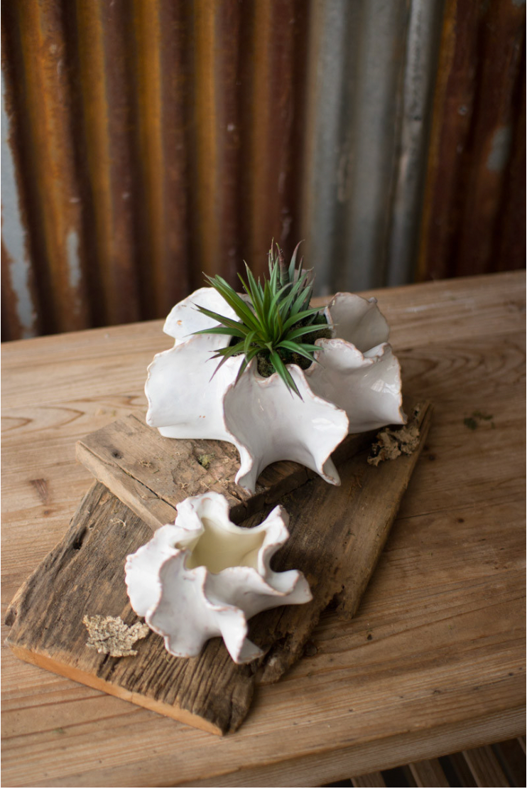 Ceramic Planters - Set of 2