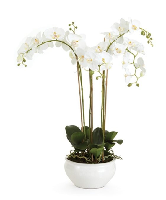 Barclay Butera Phalaenopsis